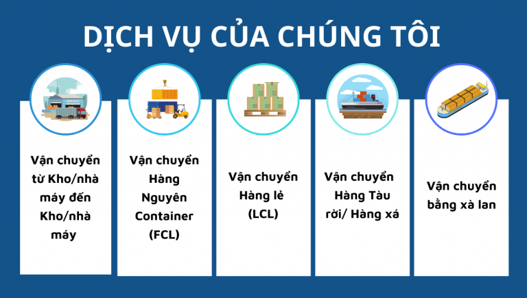 DỊCH VỤ CỦA CHÚNG TÔI