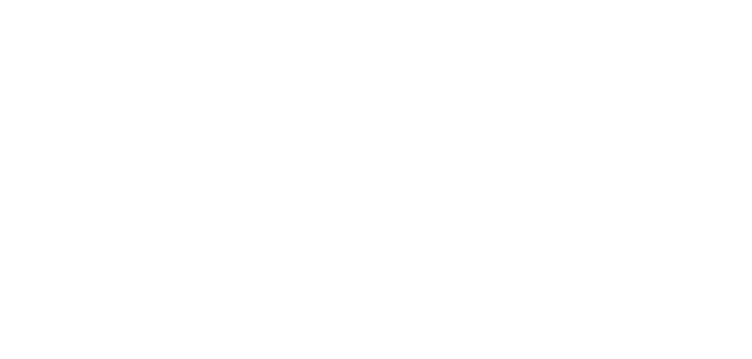 Asia Dragon